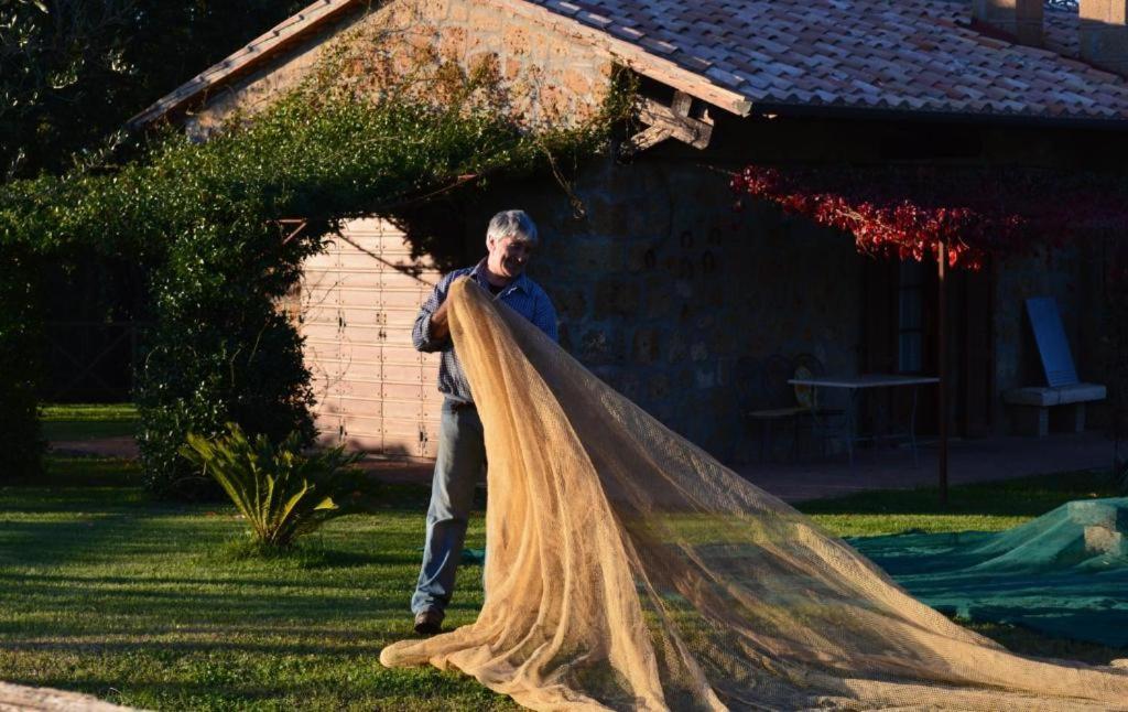 Agriturismo Eco-Bio Villa Vacasio Pitigliano Bagian luar foto